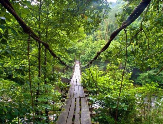 Mtirala National Park Hiking | المشي الجبلي في متنزه متيرالا الوطني