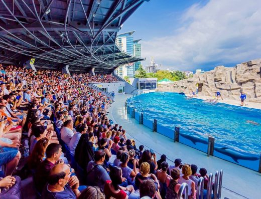 Batumi Dolphinarium | عرض الدلافين باتومي
