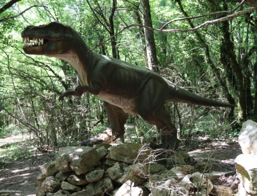 Sataplia Managed Reserve – Dinosaur Footprints Cave | محمية ستابليا الطبيعية – كهف آثار أقدام الديناصورات