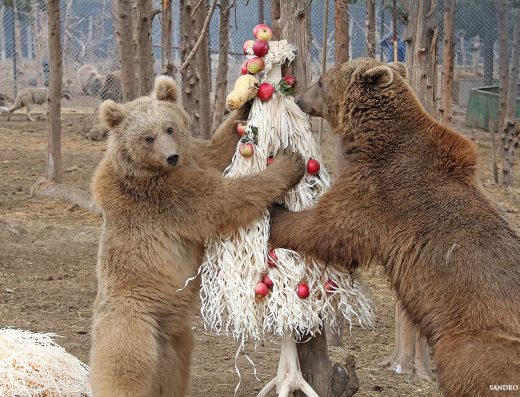 Tbilisi Zoo | حديقة الحيوانات في تيبليسي