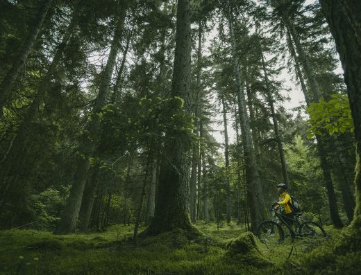 Bike Tour in Borjomi-Kharagauli National Park | جولات الدراجات في محمية بورجومي-خاراغاولي الوطنية