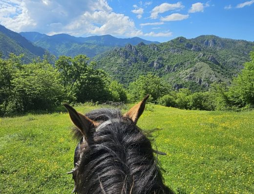 Horse Riding in Borjomi-Kharagauli National Park | ركوب الخيل في محمية بورجومي-خاراغاولي الوطنية