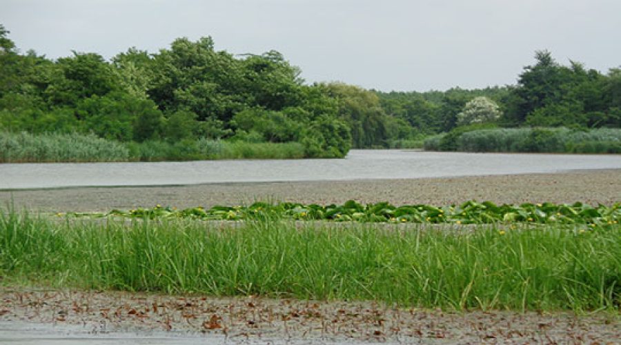 River Churia Valley-Kolkheti Park | وادي نهر شوريا -متنزه كولخيتي