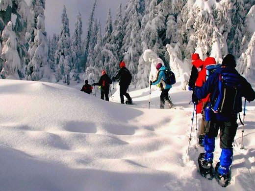 Snow Shoes Tour in Borjomi-Kharagauli National Park | جولات أحذية الثلج في محمية بورجومي-خاراغاولي الوطنية