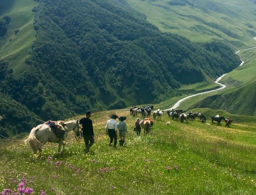 Tusheti National Park Horse Riding | جولة ركوب الخيل في متنزه توشيتي الوطني