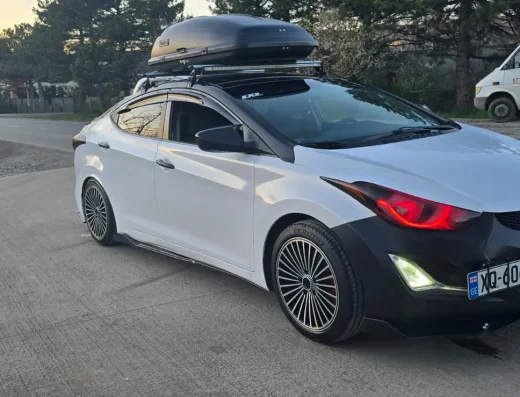 Hyundai Elantra Driver and Guide|هيونداي إلانترا سائق ومرشد سياحي