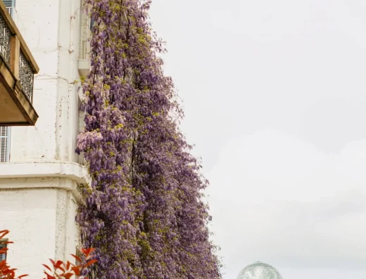 Rooms Hotel Batumi | فندق رومز باتومي