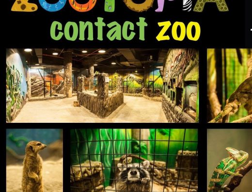 Zootopia Contact Zoo – Tbilisi Mall | حديقة الحيوان التفاعلية زوتوبيا – تبيليسي مول