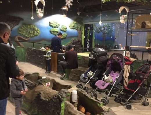 Zootopia Contact Zoo – Tbilisi Mall | حديقة الحيوان التفاعلية زوتوبيا – تبيليسي مول
