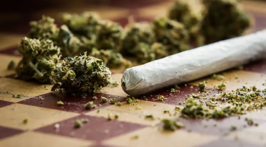 Hashish and Marijuan in Georgia | الحشيش والماريجوانا بجورجيا