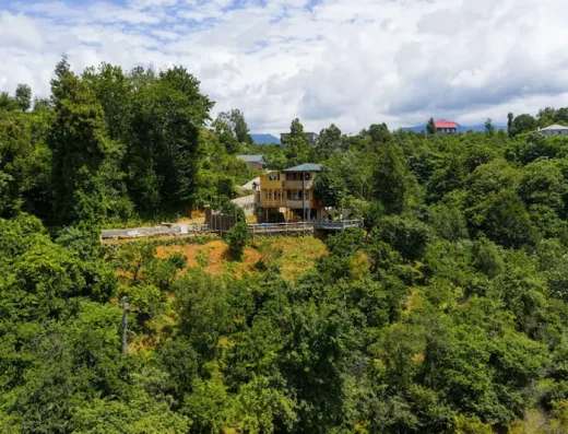 GoldenSeaView TreeHouse |منزل تري هاوس جولدن سي فيو
